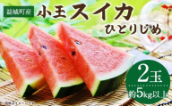 益城町産 スイカ 小玉 （ひとりじめ） 2玉（約5kg以上） 【2026年5月下旬～6月上旬発送予定】