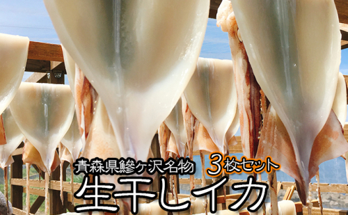 青森県鰺ヶ沢町 生干しイカ 3枚セット ご入金確認後 3ヶ月以内の発送になります 青森 イカ いか 国産 魚介 Au Pay ふるさと納税