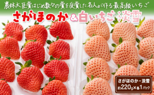 ＜先行予約受付中・令和8年1月中旬以降順次発送＞紅白いちご（淡雪・さがほのか）セット440g［A4605-04-0］