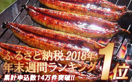 【鰻定期便12カ月コース】四万十うなぎ株式会社自慢の大きめサイズ（計480ｇ）を毎月お届け！スタンダードサイズじゃちょっと物足りないな、もう少し食べたいなという方におススメです。3尾で、うな丼（蒲焼8
