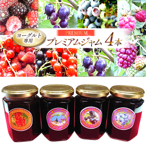 ヨーグルト専用プレミアム・ジャム４本詰めセット [ノーザン・ベリーズ 北海道 砂川市 12260842] 果物 フルーツ 国産 ジャム瓶 自家栽培 レビューキャンペーン 821 - 北海道砂川市