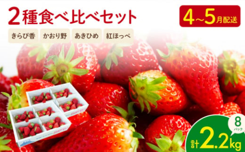 【先行予約 2025年4月より順次発送予定】 いちご 2種 2kg 以上 苺 旬 産地 直送 フレッシュ イチゴ 紅ほっぺ 章姫 きらぴ香 かおりの フルーツ 果物 国産 ジャパン ベリー 静岡県 藤枝市 