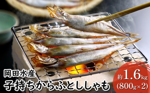 子持ちからふとししゃも 約1.6kg(800g×2) 樺太 魚シシャモ メス おつまみ 822491 - 北海道赤平市