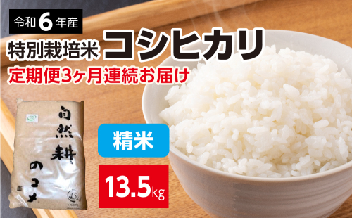 【定期便】3ヶ月連続お届け 令和六年産特別栽培米コシヒカリ4.5kg  822590 - 茨城県常総市