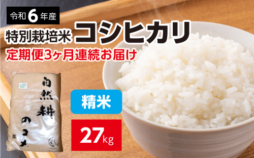 【定期便】3ヶ月連続お届け 令和六年産特別栽培米コシヒカリ9kg 822591 - 茨城県常総市