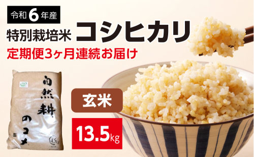 【定期便】3ヶ月連続お届け 令和六年産特別栽培米コシヒカリ4.5kg 玄米  822601 - 茨城県常総市