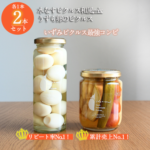 【圧倒的企業努力】担当者が選んだピクルス 2本セット うずら卵／水なすピクルス和風mix NSW＜スピード発送＞ 005A715 822707 - 大阪府泉佐野市