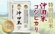 令和5年産米 特別栽培米 沖田米コシヒカリ 2kg F21T-072
