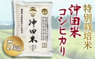 令和5年産米 特別栽培米 沖田米コシヒカリ 5kg F21T-073