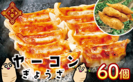 天栄村特産を使ったヤーコン餃子 60個 F21T-181