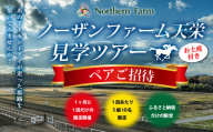 月1回限定開催 ノーザンファーム天栄見学ツアー ペア招待（7月分） UMAJO 期間限定 東北 福島県 天栄村 競馬 ノーザン 応援 思い出 記念 F21T-274