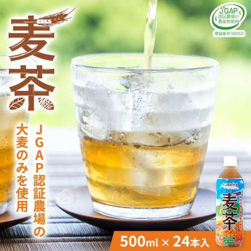 【 JA 北つくば 】 JGAP認証 麦茶 1箱 ( 500ml × 24本 ) JGAP JA お茶 茶 ペットボトル 麦 大麦 二条大麦 ノンカフェイン カフェインゼロ [AE020ci] 823034 - 茨城県筑西市