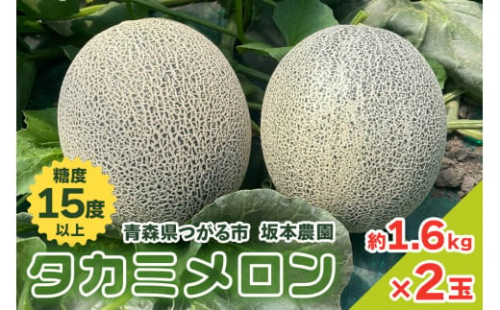 坂本農園のブランドメロン タカミ (約1.6kg×2玉) 糖度15度以上｜青森 津軽 つがる 果物 フルーツ ギフト メロン めろん たかみ タカミ 2025年 令和7年 [0822]