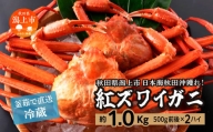 日本海沖産 紅ズワイガニ500g前後×2匹 約1.0kg/冷蔵