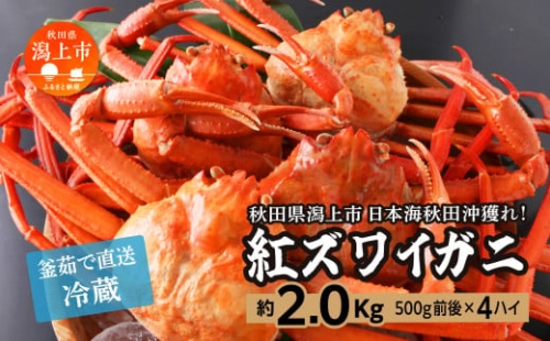 日本海沖産 紅ズワイガニ500g前後×4匹 約2.0kg/冷蔵