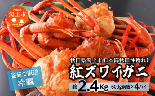【3月以降順次発送】日本海沖産 紅ズワイガニ600g前後×4匹 約2.4kg/冷蔵 冷蔵  ズワイガニ 4匹 約 2.4kg 紅ズワイガニ ベニズワイガニ ずわい ズワイ蟹 ずわいがに ずわい蟹 姿 ボイル 訳あり 蟹 カニ かに 国産 蟹 不揃い 傷 緊急 カニみそ入り 潟上市 【安田水産】