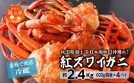 日本海沖産 紅ズワイガニ600g前後×4匹 約2.4kg/冷蔵