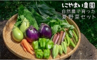 【高知県大月町産】にやまい農園　自然農で育った夏野菜セット