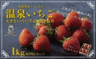 1173 鳥取県産とっておき「温泉いちご」大きさいろいろ詰め合わせ 1キロ