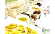 BH-4-1　【ふるさと納税】茨城県水戸市で干し芋作り体験&干し芋詰合せのお土産付き