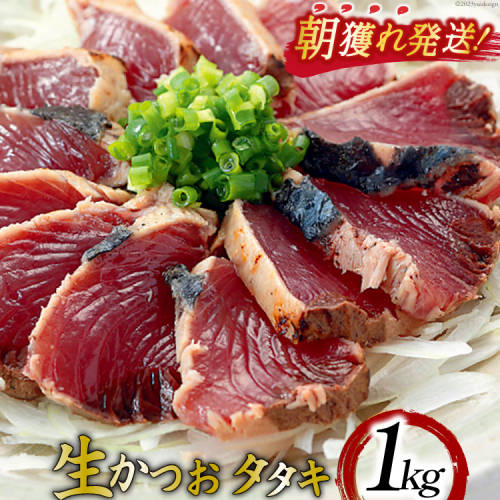 朝獲れ 産地直送 冷蔵便 生かつおタタキ 1kg タレ付 真空パック [阿部長商店 宮城県 気仙沼市 20564055] 825725 - 宮城県気仙沼市