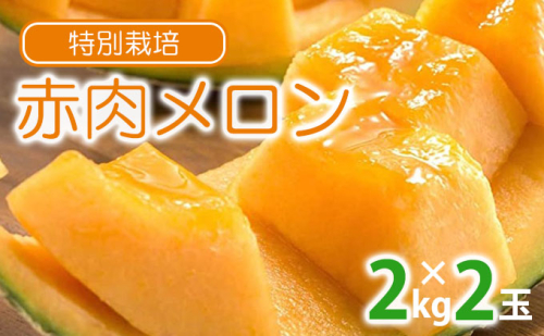 【2025年夏出荷】 ”特別栽培” 富良野産メロン 北添花 （赤肉メロン2玉入 約4kg）【植崎ファーム】メロン フルーツ 果物 新鮮 甘い 贈り物 ギフト 道産 ジューシー おやつ ふらの ブランド 夏  825730 - 北海道富良野市