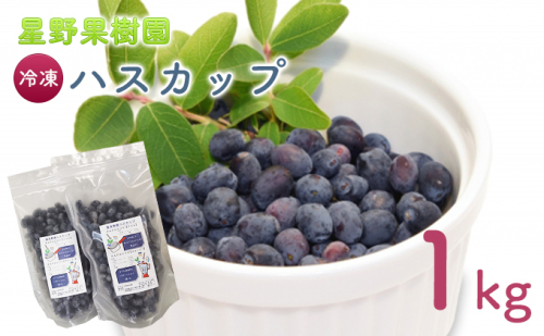 星野果樹園 冷凍 ハスカップ 約1kg (果物 フルーツ 贈り物 ギフト 甘い 新鮮 産地直送 北海道 送料無料 道産 富良野 ふらの 人気) 825737 - 北海道富良野市