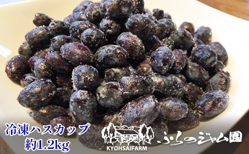 ◆ふらの ジャム園◆冷凍 ハスカップ 4袋セット (果物 フルーツ 冷凍食品 新鮮 産地直送 北海道 送料無料 道産 富良野 ふらの 人気) 825883 - 北海道富良野市