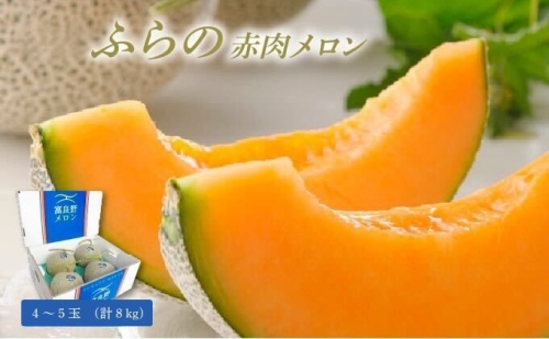【2026年8月発送】JAふらの 赤肉メロン 4～5玉（計8kg）富良野市 メロン フルーツ 果物 825884 - 北海道富良野市
