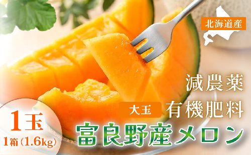 【2025年7月中旬～発送】北海道 ふらの 赤肉メロン 1玉入り 約1.6kg (守田農園) メロン フルーツ 果物 新鮮 甘い 贈り物 ギフト 道産 ジューシー おやつ ふらの ブランド 夏  825990 - 北海道富良野市