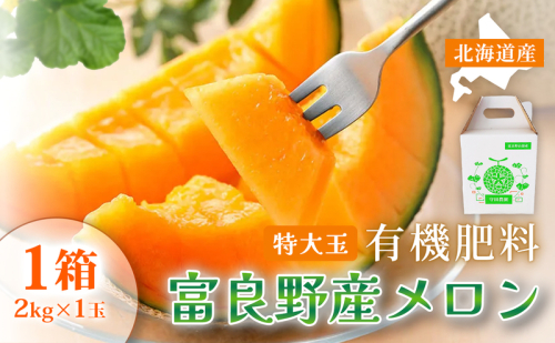【糖度15度以上 赤肉メロン】富良野産 特秀品メロン 2kg×1玉 1箱｜北海道富良野市 7～8月発送 贈答用 ギフト プレゼント メロン 赤肉メロン 富良野メロン 果物 フルーツ とろける甘さ 夏季限定 旬の味覚 芳醇な香り 825993 - 北海道富良野市