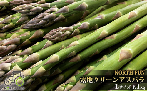 【2026年5月発送】北海道 富良野産 露地 グリーン アスパラ Lサイズ約1kg 野菜 アスパラガス 826055 - 北海道富良野市