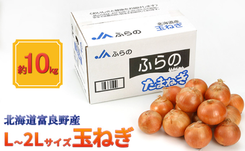 【北海道富良野産】L～2L サイズ 玉ねぎ 約10kg (JAふらの) たまねぎ 玉葱 タマネギ 野菜 新鮮 直送 道産 ふらの 送料無料 数量限定 先着順  826081 - 北海道富良野市