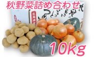 北海道富良野産 野菜10kgセット（じゃがいも・玉ねぎ・かぼちゃ）【2023年9月下旬より発送】