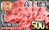 高千穂牛 ウデ焼き肉(500g)【MT001】【JAみやざき 高千穂牛ミートセンター】
