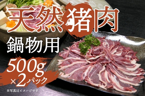 天然イノシシ肉（スライス・冷凍）約500g×2パック  82724 - 鹿児島県肝付町