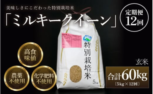 【先行予約】【令和7年産 新米】《定期便12回》 特別栽培米 ミルキークイーン 玄米  5kg （計60kg） 農薬不使用 化学肥料不使用 ／ 高品質 鮮度抜群 福井県産 ブランド米 あわら産 ブランド米 ※2025年10月上旬以降順次発送 [aw063-l001]