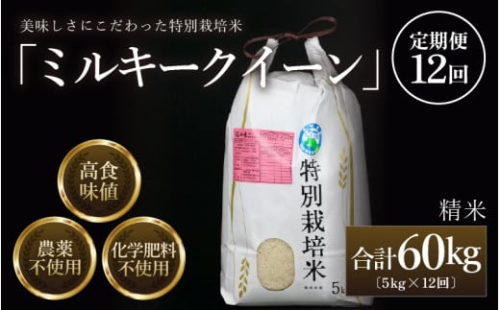 【先行予約】【令和7年産 新米】《定期便12回》 特別栽培米 ミルキークイーン 精米 5kg (計60kg)  農薬不使用 化学肥料不使用 ／ 高品質 鮮度抜群 福井県産 ブランド米 白米 あわら産 ブランド米 ※2025年10月上旬以降順次発送 [aw063-l002]