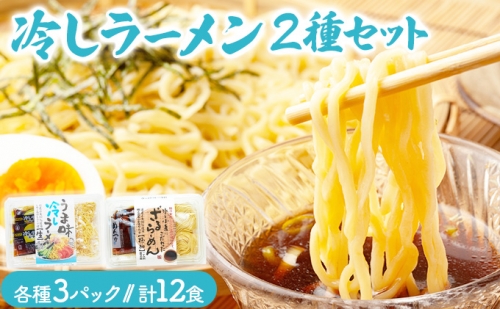 冷し麺（ ラーメン ）12食セット 827963 - 北海道登別市