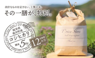《１２か月定期便》《令和7年産》《新米》T rice Store 岐阜県産 コシヒカリ 60kg(5kg×12回）| 垂井町産 米 こめ お米 白米 精米 冷めても美味しい米 ブランド米 高品質 安心 安全 リピーター多数 贈答用 贈り物 ギフト プレゼント おしゃれ 人気