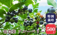 [先行予約][堀内果実園]特別栽培・無農薬ブルーベリー100gx5Pセット