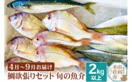 鯛 欲張りセット 2kg 以上 冷蔵 《予約》4月中旬～9月中旬発送