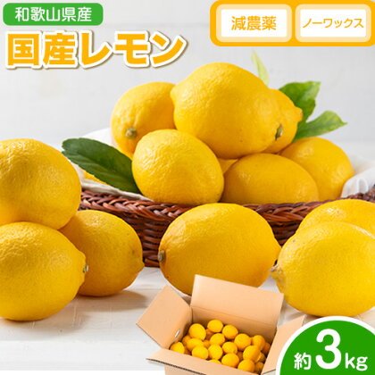 【2027年発送先行予約】レモン 国産 レモン 3kg(L～4Lサイズ) ノーワックス 減農薬 どの坂果樹園《2027年2月上旬-5月末頃より出荷》 和歌山県 日高川町 レモン れもん 檸檬 旬 果物 フルーツ 柑橘 産地直送 送料無料 828676 - 和歌山県日高川町