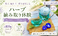 【体験型】ハーブ摘み取り体験＆ハーブティー ｜ イベント チケット ハーブティー ハーブ 体験チケット フレッシュハーブ 埼玉県 宮代町 新しい村 メディカルハーブガーデン ミント苗 お茶類 飲料 体験型 体験 農体験 観光チケット 自然体験 香り リラックス アロマテラピー ミント ラベンダー ローズマリー カモミール ハーブ園 ガーデン散策 摘み取り 埼玉観光 東武動物公園駅 田園風景