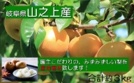 【先行受付】【 数量限定 】精華園 の こだわり 梨 （約 3kg ）品種 は おまかせ | M12S89