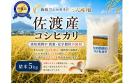 [先行予約 令和8年産]佐渡産コシヒカリ 精米5kg 在来種 栽培期間中 農薬・化学肥料不使用 矢田農園 | 新潟県産コシヒカリ 新潟産コシヒカリ 佐渡産コシヒカリ 新潟県産こしひかり 佐渡産こしひかり お米 米 こしひかり 白米 精米 おこめ コメ 5キロ 農家直送 にいがた さど 新潟県 佐渡市