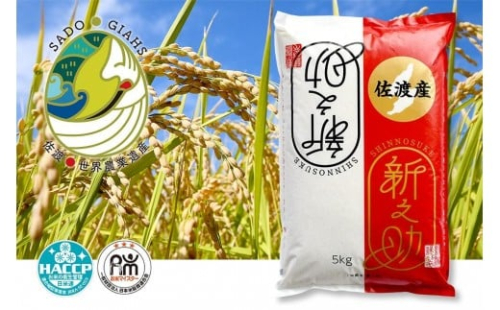 新潟県佐渡市産 新之助 精米 5kg【令和7年米】 830585 - 新潟県佐渡市