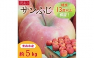 [CAりんご]糖度13度以上保証サンふじ約5kg訳あり家庭用