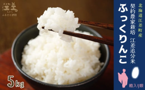 【新米先行予約】契約農家栽培 江差追分米『ふっくりんこ』【5kg】令和7年産　2025年産　北海道江差町産　北海道米　白米　精米　お米　おこめ　こめ　ご飯　ごはん　農家直送　単一原料米　ブランド米　ふっくら食感、ここちよい甘さ