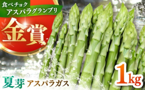 【先行予約】身体にやさしい こだわり 夏芽 アスパラガス 約1kg【ひがじま農園】 [ICW003]